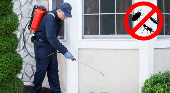 Alaca Böcek ve Haşere İlaçlama böcek ilaçlama ve haşere kontrolü — ilaclama-tr.com